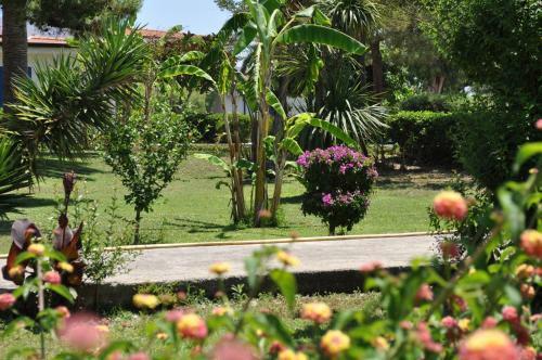 Hotel La Conchiglia Resort & Spa