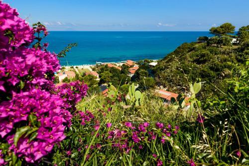 Hotel La Conchiglia Resort & Spa