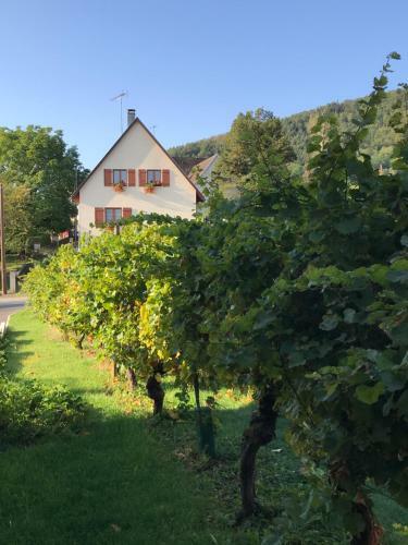 Hostal Le Chemin Du Meunier
