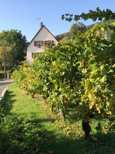 Hostal Le Chemin Du Meunier