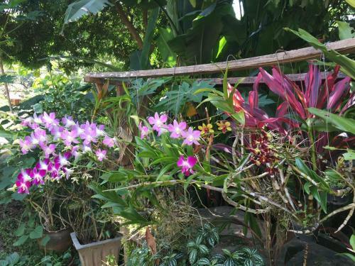 Hostal Ban Vivanh Chambres D'hotes