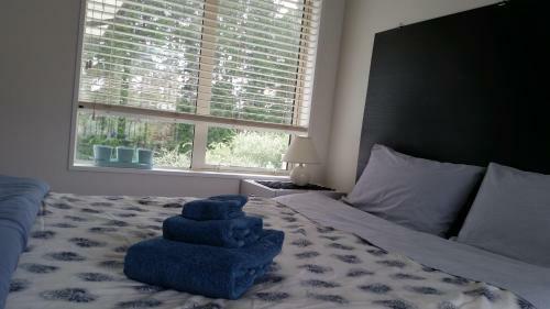Hostal Kleynz Accommodation