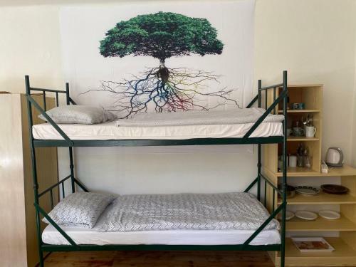 Apartamento Ubytov�n� ?esk� Krumlov - Vnit?n� M?sto