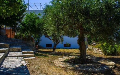 The Stone House In Aspro