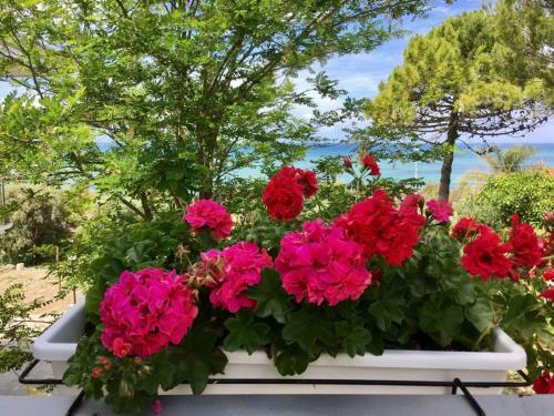 Apartamento Villa Maris