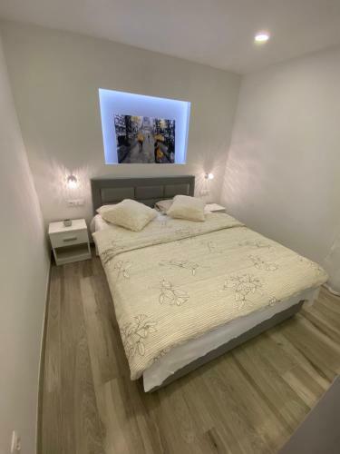 Apartment Bono
