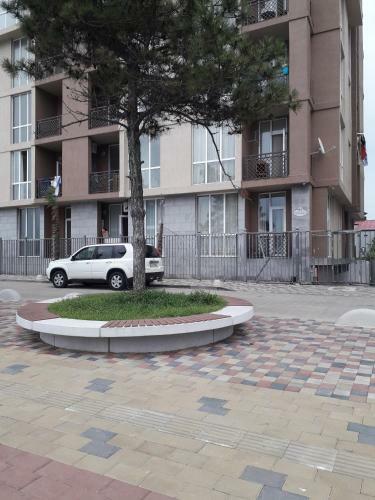 Apartamento Kobuleti-seashore-sanapiro #66