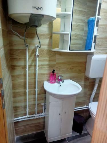 Apartmani Mom?ilo