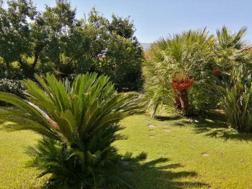Apartamento Casa Marinella