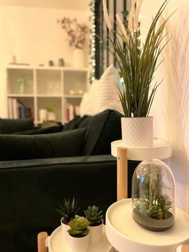 Apartamento Petit Cocon Au C?ur D'annecy