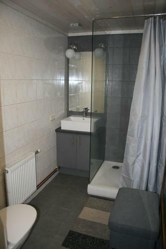 Villa Jadviga Big Apartment