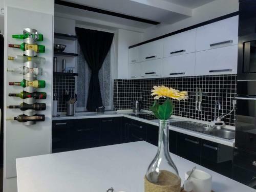 Sky Apartments Special