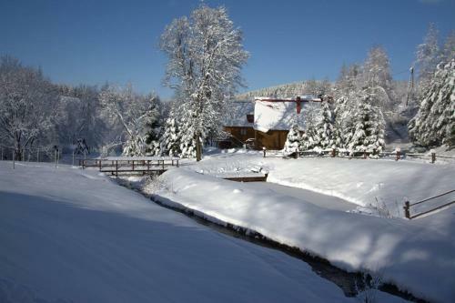 Lodge Domki Uroczysko