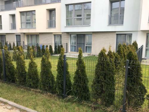 Daujoto Apartamentai