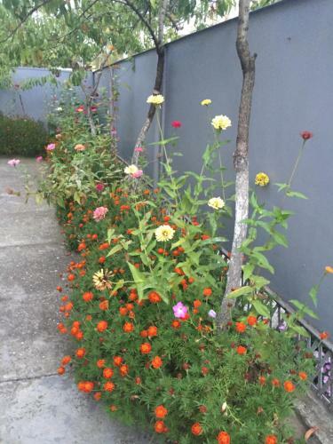 Hostal Guest House On Kharaniya