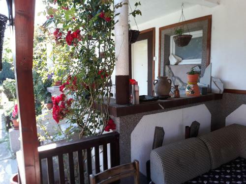 4 Apartmans Nis Mezgraja