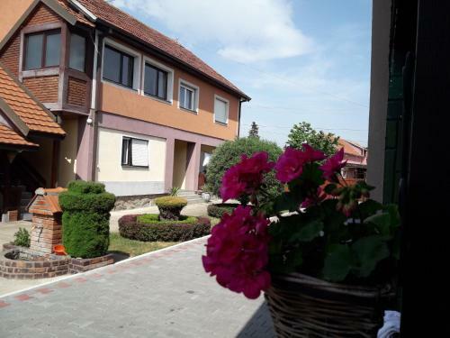 4 Apartmans Nis Mezgraja