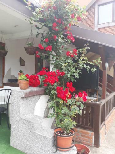 4 Apartmans Nis Mezgraja
