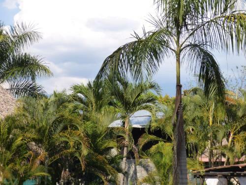 Hotel R�o Vivo Spa
