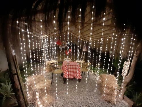 Islamonta�a Glamping