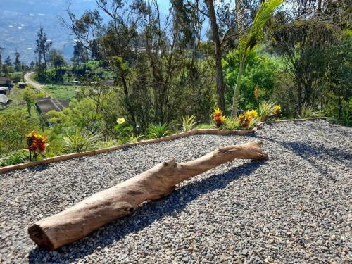 Islamonta�a Glamping