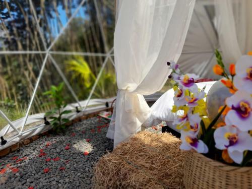 Islamonta�a Glamping