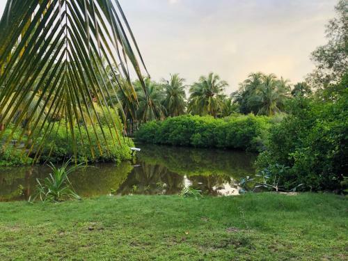 Bed & Breakfast Kalpitiya House