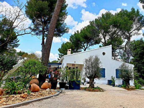 Villa Un Oasis En Provence