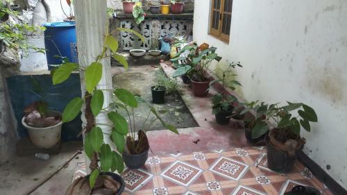 Apartamento Parice Mount View