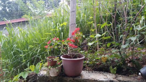 Apartamento Parice Mount View