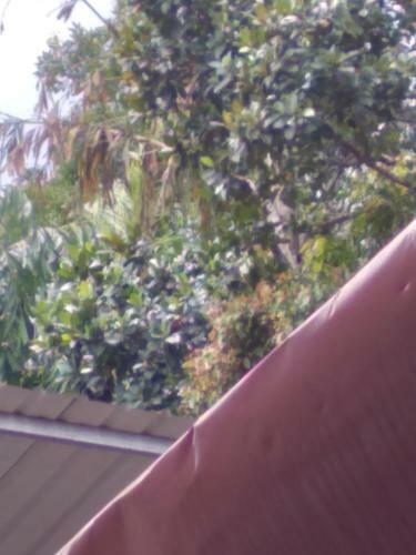 Apartamento Parice Mount View