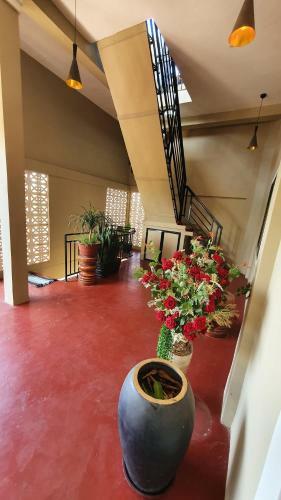 Albergue Le Cocorico