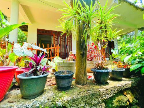Bed & Breakfast Dreamy Stay Ella