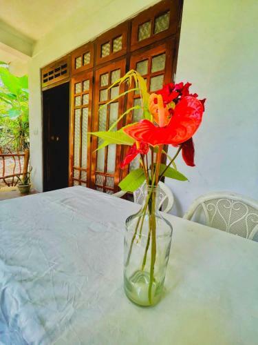 Bed & Breakfast Dreamy Stay Ella