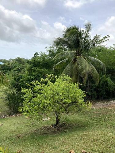 Apartamento L'oranger Paisible- T2 Bas De Villa
