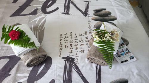 Hostal Manganao H�tel