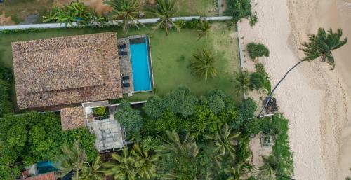 Greenparrot-villa