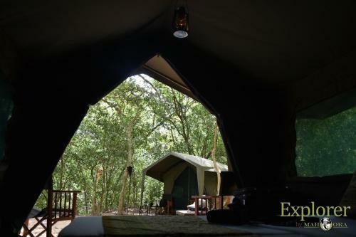 Hotel Mahoora Tented Safari Camp - Kumana
