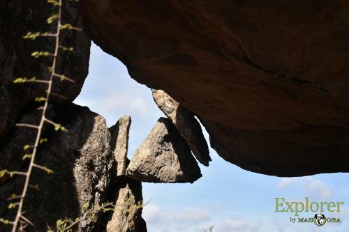 Hotel Mahoora Tented Safari Camp - Kumana