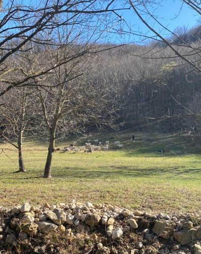 Villa Soko Holiday Home Bihac