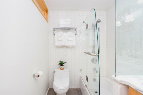 Downtown Contemporary Coastal Condo