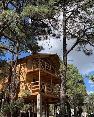 Caba�as El Pino 3