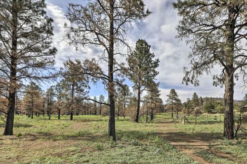 Sunny Flagstaff Home With Natl Forest Access!