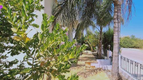 Stay : Sunny Bay Villa