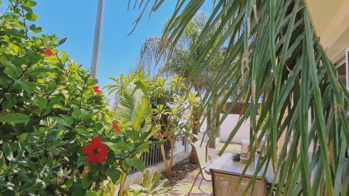 Stay : Sunny Bay Villa