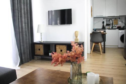 Down Town Luxurious Apartments (3)