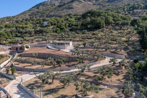 Apartamento Olive Hilltop Velembusi