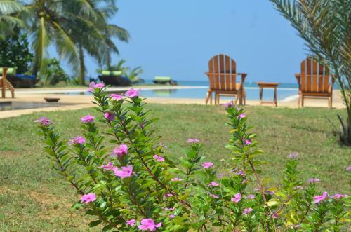 Hotel Bar Reef Resort