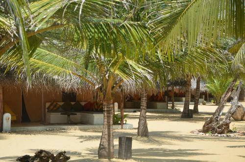 Hotel Dolphin Beach