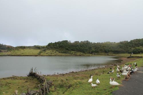 Apartamento Vivenda Oliveira